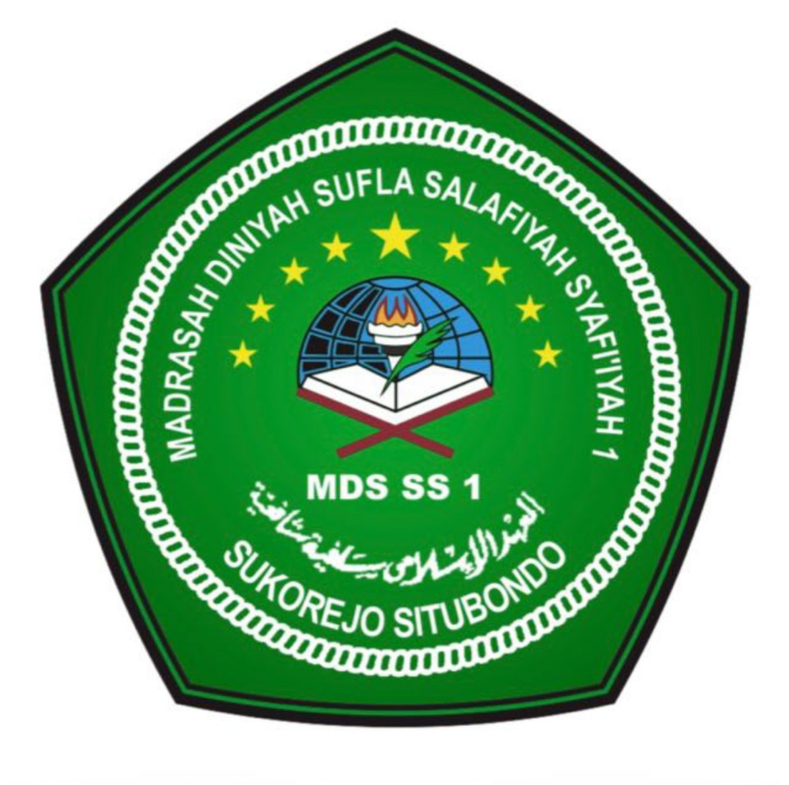MDS 1